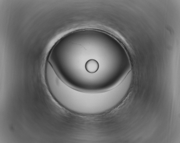 X0000113921512200910090925