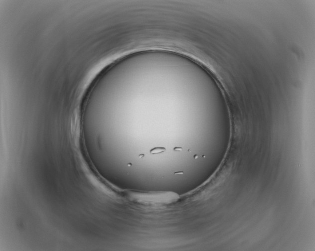 X0000113921515200910090925
