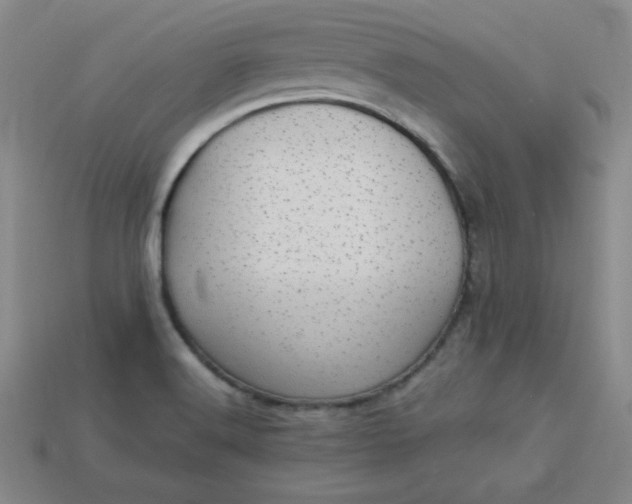 X0000113921516200910090925