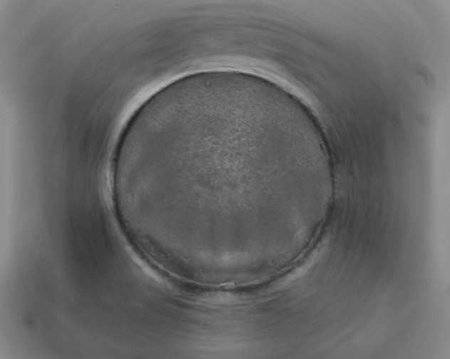 X0000113921517200910090926