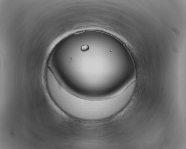 X0000113921518200910090926