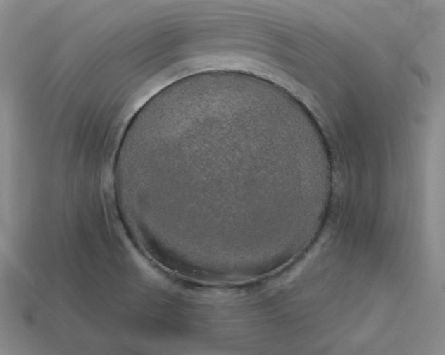 X0000113921521200910090926