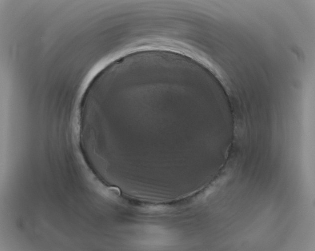 X0000113921522200910090926