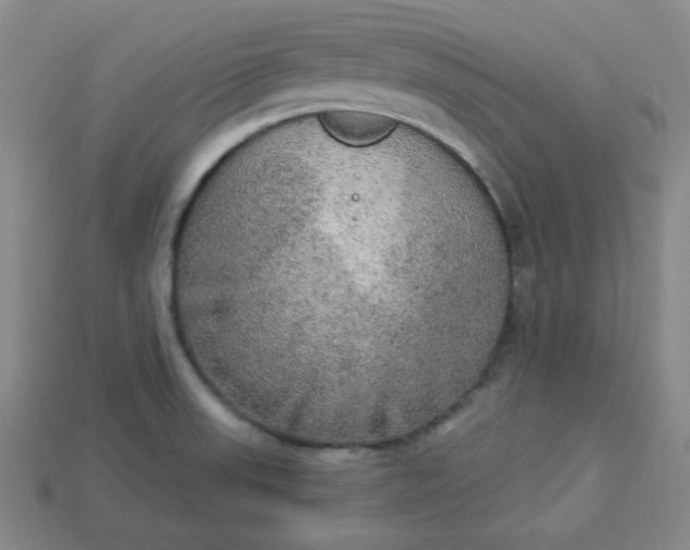 X0000113921523200910090926