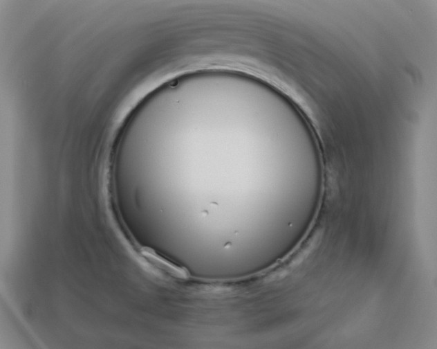 X0000113921525200910090926