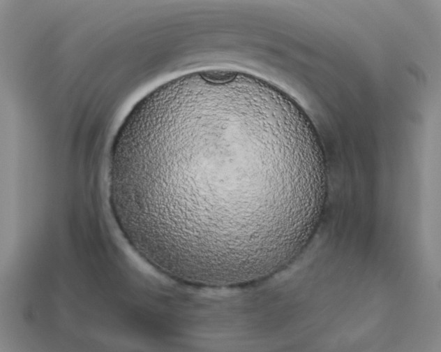 X0000113921526200910090926