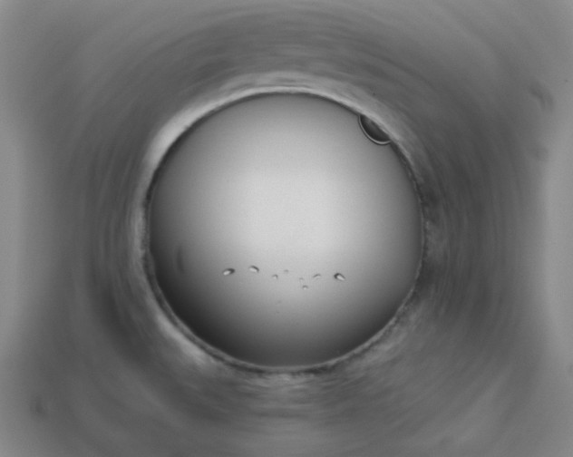 X0000113921527200910090926