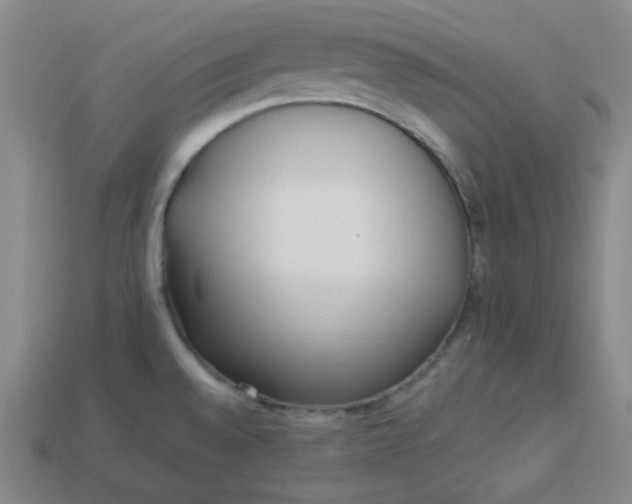 X0000113921528200910090926