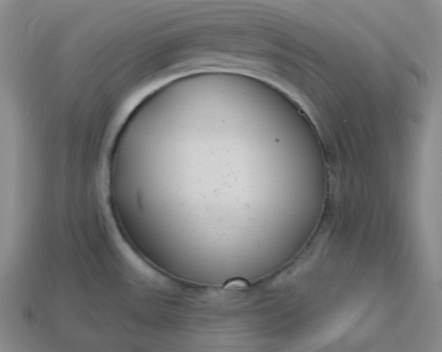 X0000113921531200910090926