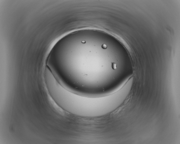 X0000113921532200910090926