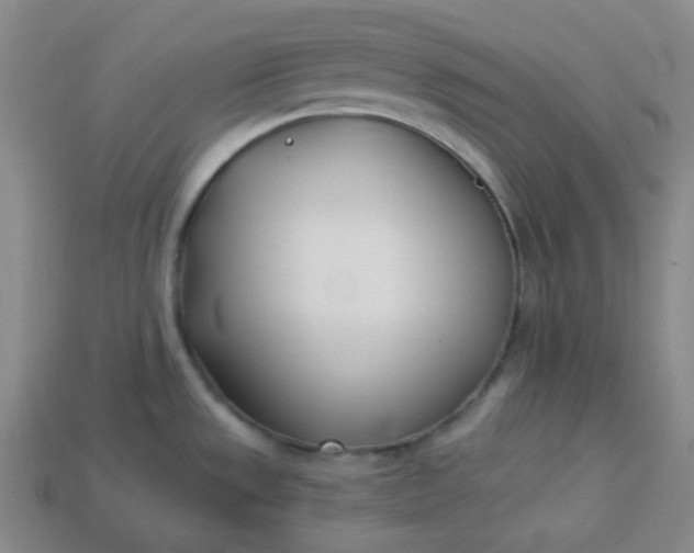 X0000113921533200910090926