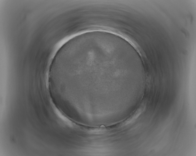 X0000113921535200910090926