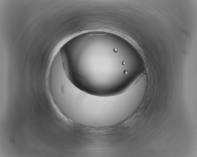 X0000113921536200910090926