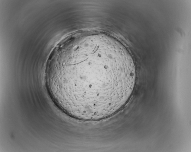 X0000113920002200910151450