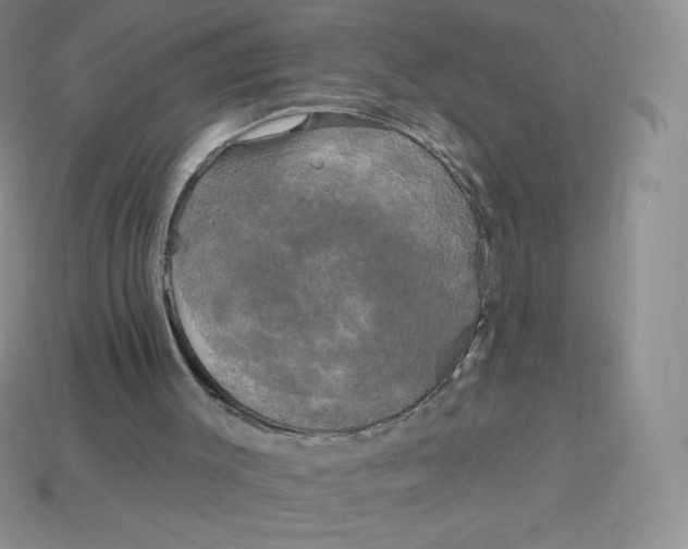 X0000113920003200910151450