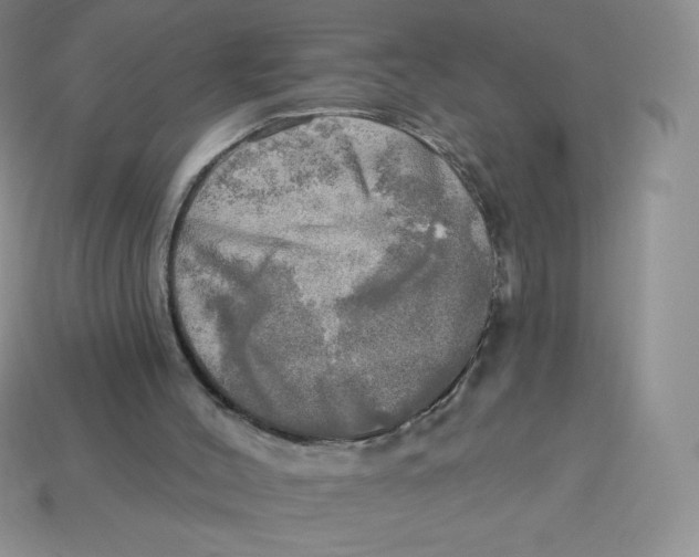 X0000113920004200910151450