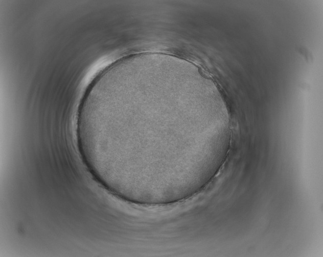 X0000113920006200910151450