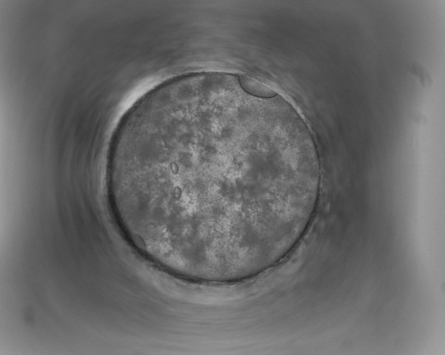 X0000113920008200910151450
