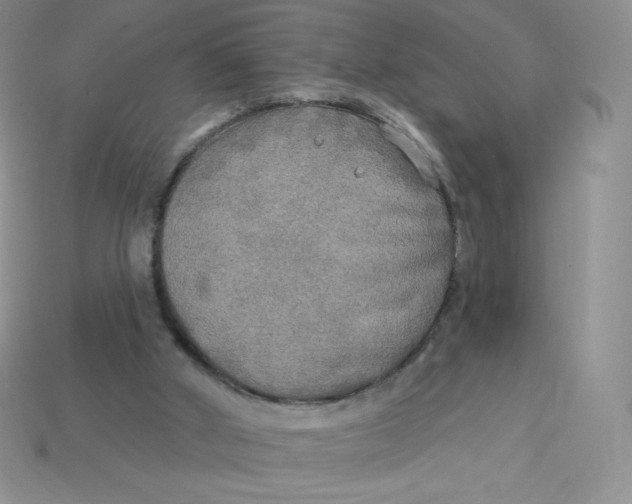 X0000113920010200910151450