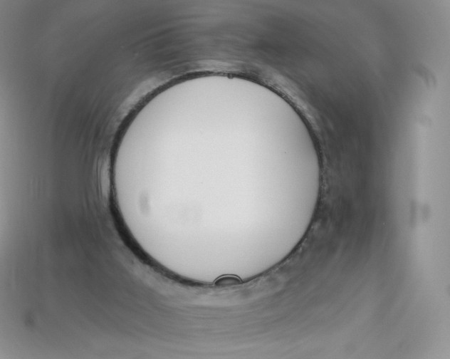 X0000113920011200910151450