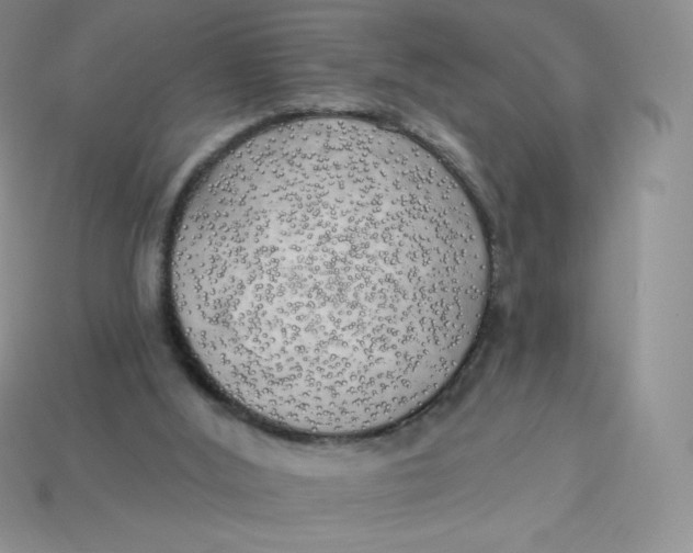 X0000113920012200910151450