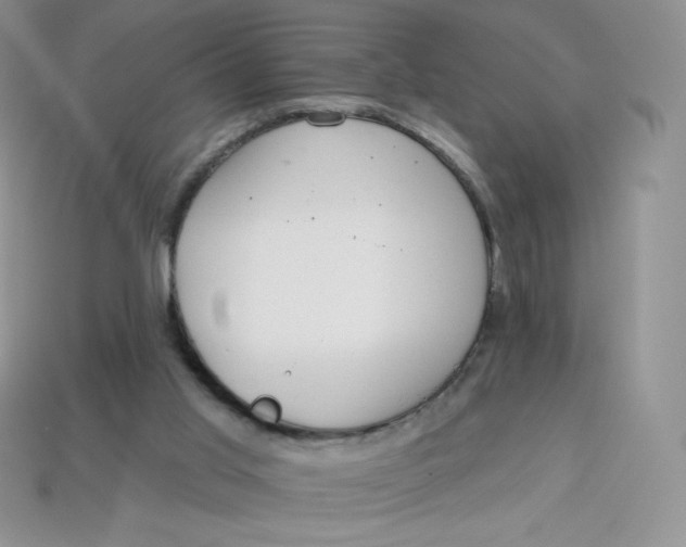 X0000113920013200910151450