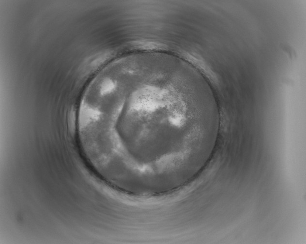 X0000113920014200910151450
