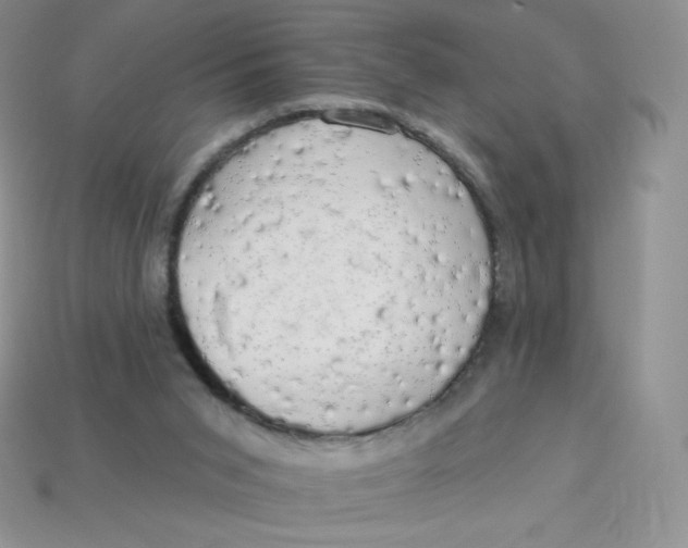 X0000113920015200910151450