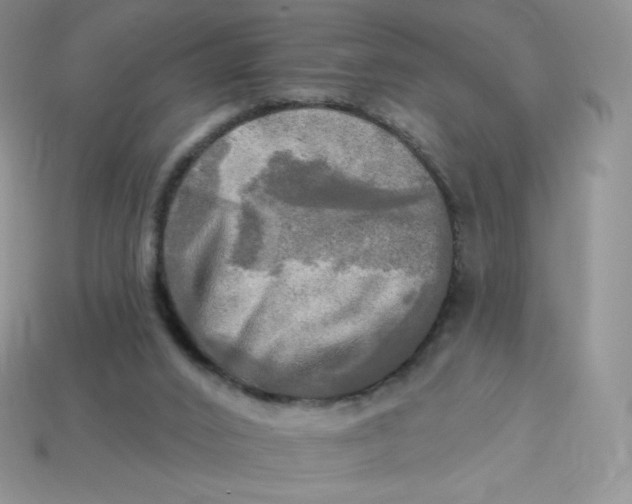 X0000113920016200910151450