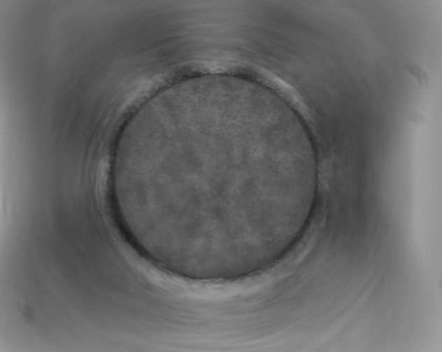 X0000113920018200910151450