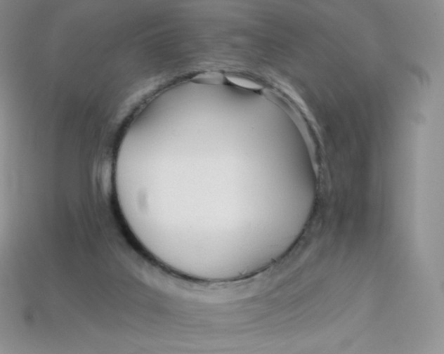 X0000113920019200910151450
