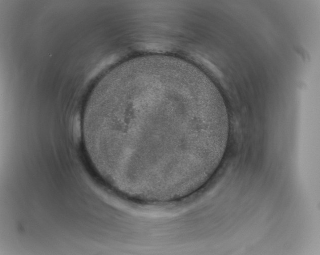 X0000113920020200910151450
