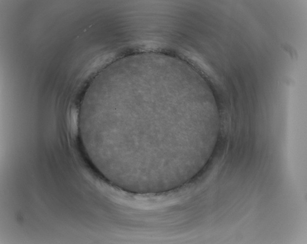X0000113920022200910151450