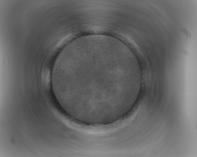 X0000113920024200910151449