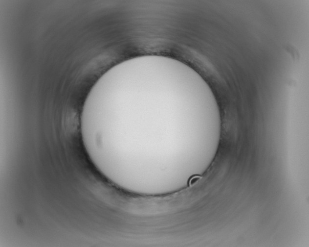X0000113920025200910151449