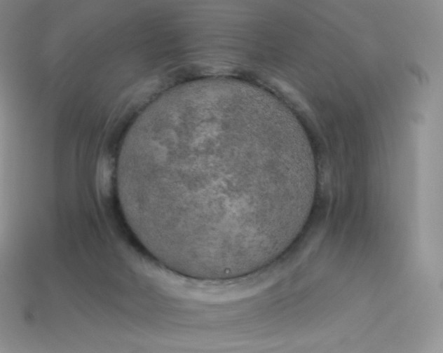 X0000113920026200910151449