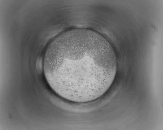 X0000113920028200910151449