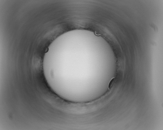 X0000113920029200910151449