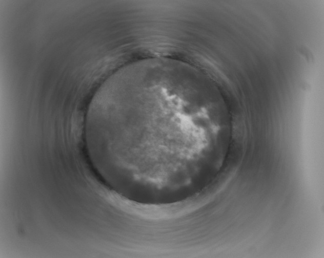 X0000113920030200910151449