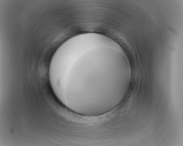 X0000113920031200910151449