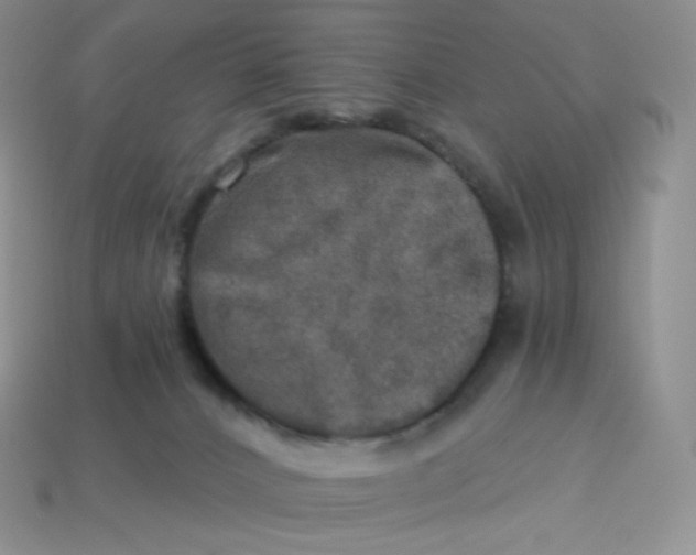 X0000113920032200910151449