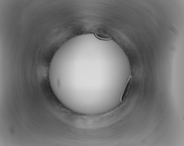 X0000113920033200910151449