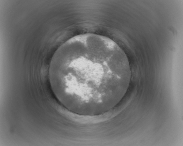 X0000113920034200910151449