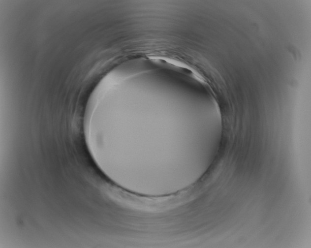 X0000113920035200910151449