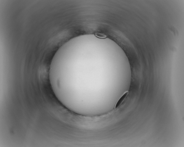 X0000113920037200910151449