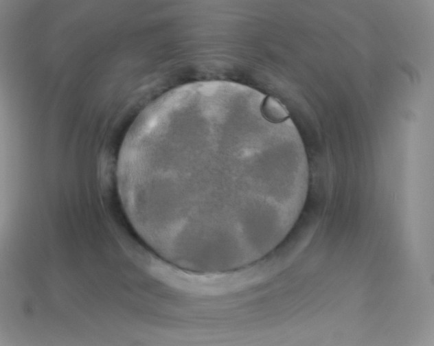 X0000113920038200910151449