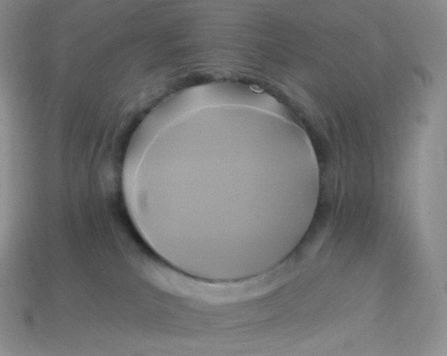 X0000113920039200910151449