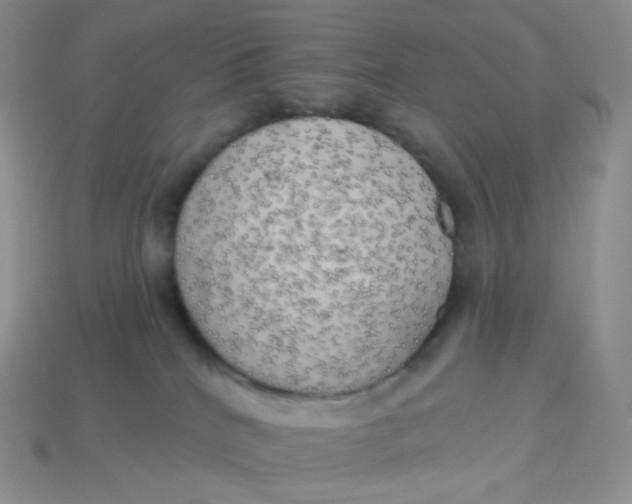 X0000113920040200910151449