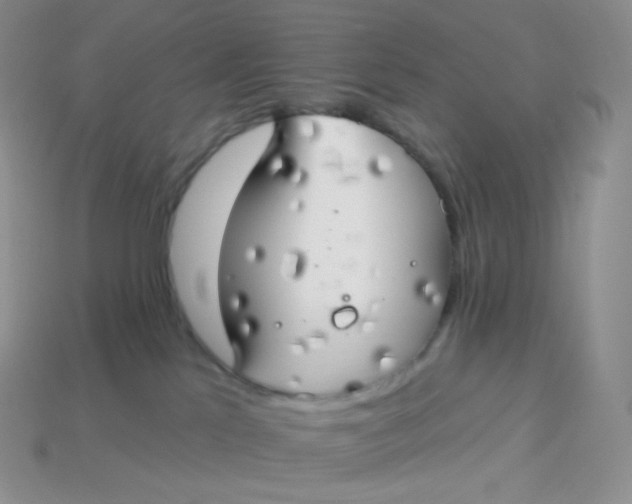 X0000113920041200910151449