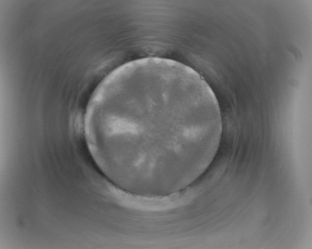 X0000113920042200910151449